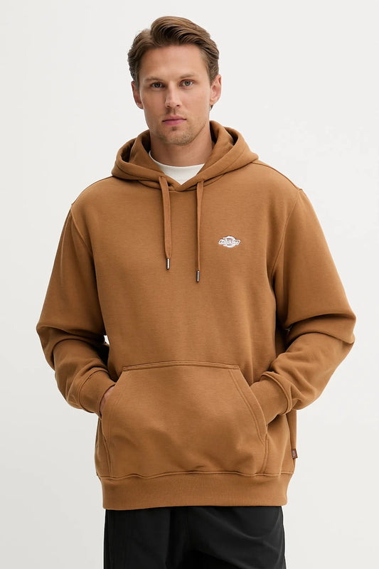 Felpa Summerdale con cappuccio marrone