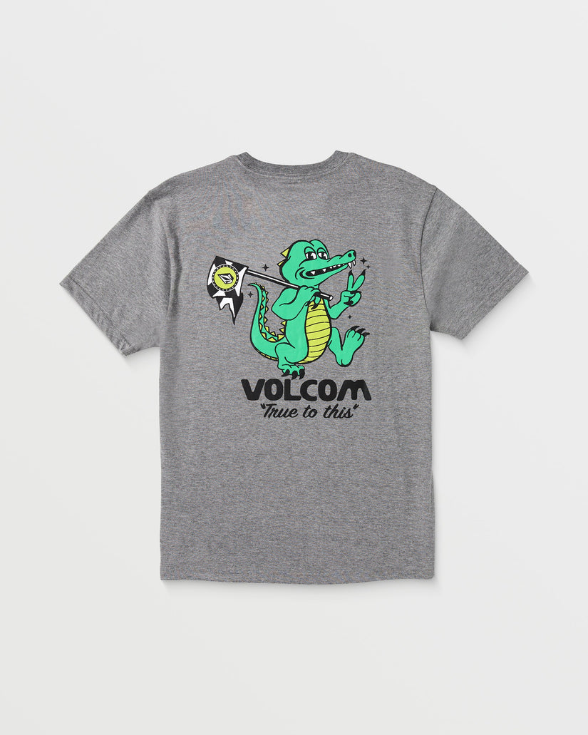 T-Shirt Gatornation grigio - 8/14 ANNI