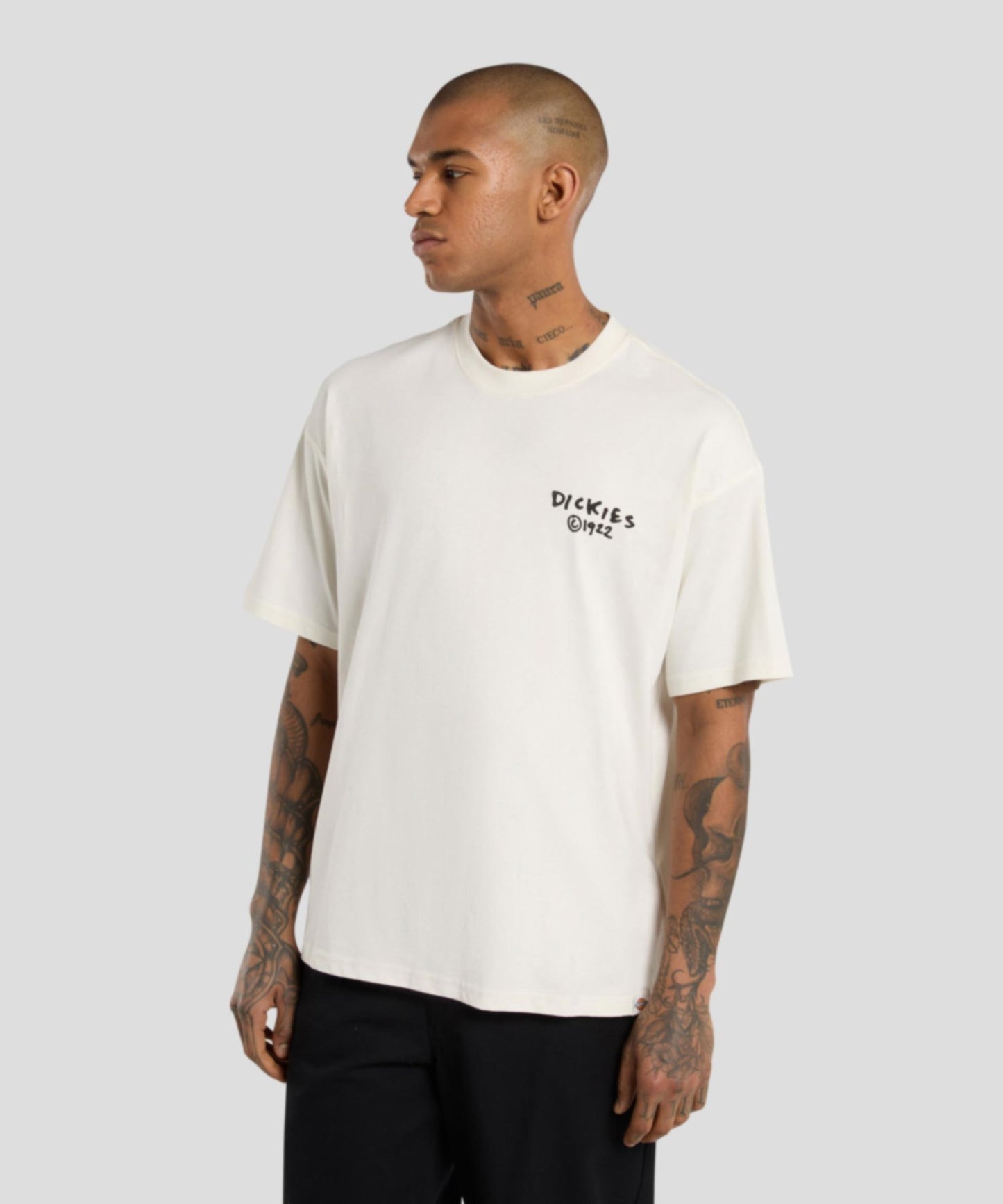 T-Shirt Sneedville panna