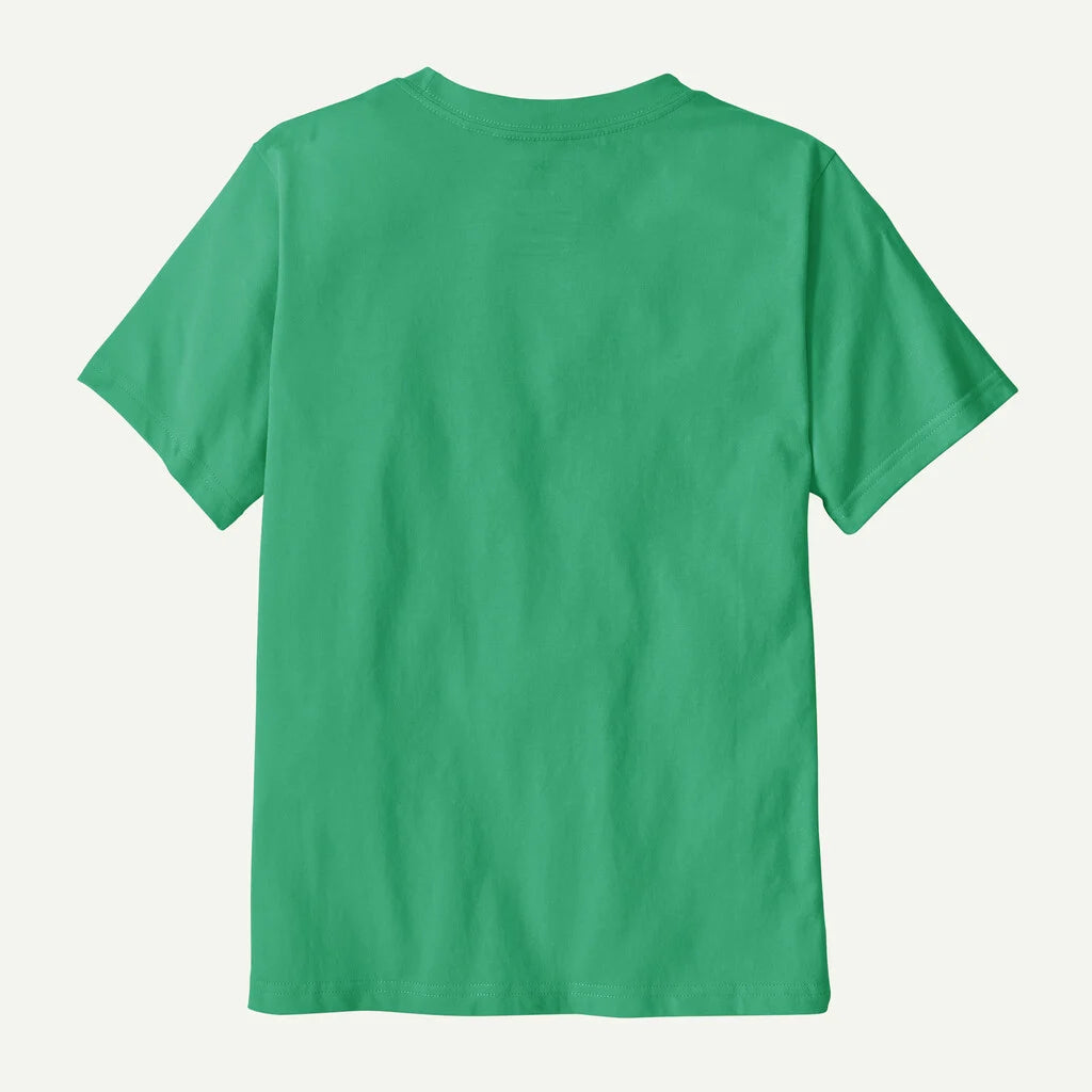 T-shirt P-6 Patagonia verde - 5/14 ANNI